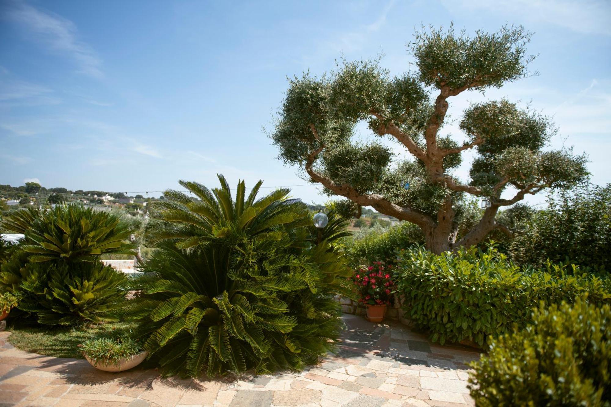 Holiday Home Cosimo Locorotondo Buitenkant foto